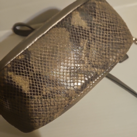 Coach Cambell Me Iridescent Python  Crossbody Bag F24849 –Rare& Stunning - Picture 9 of 16